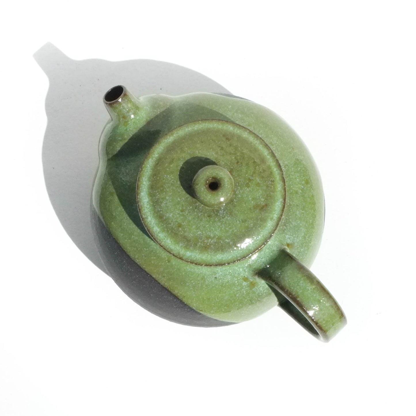 Tortuga - 275ml Teapot